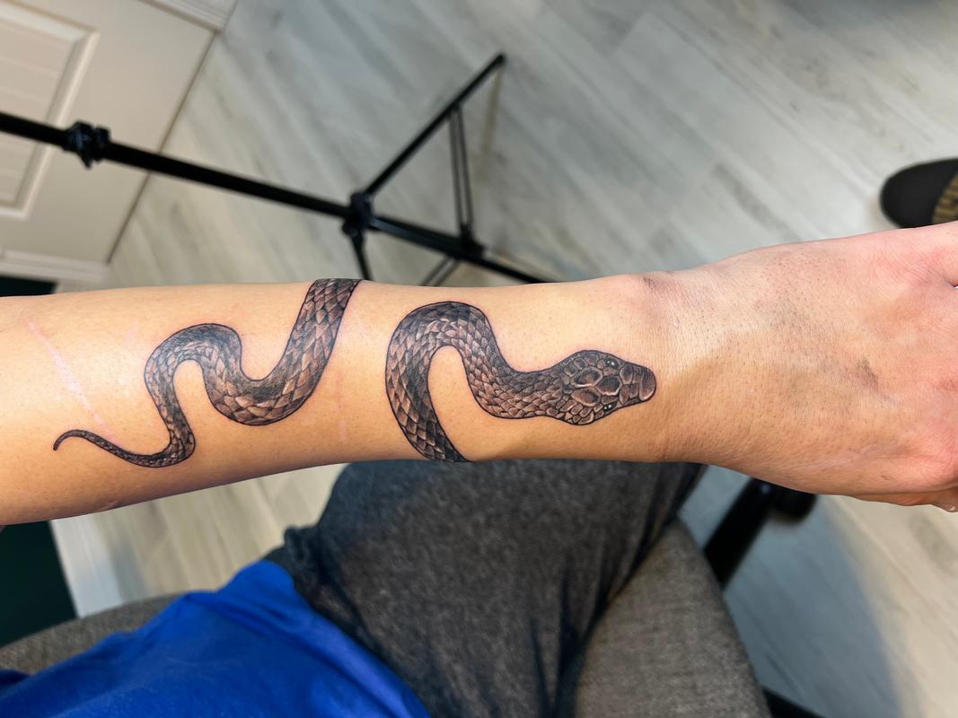 Art Immortal Tattoo : Tattoos : Blackwork : Snake